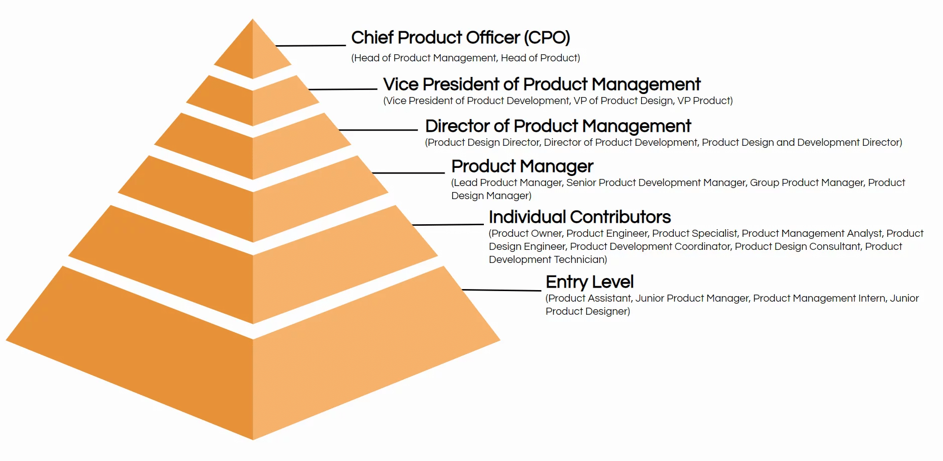 Product management hierarchy: product manager career path