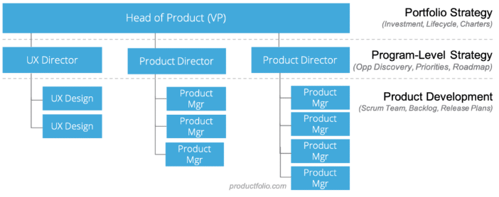 VP of Product Management Hierarchy, product manager career path