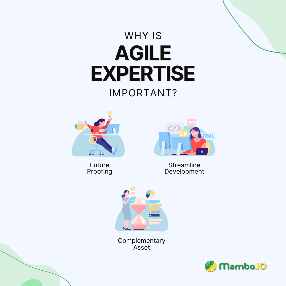 Importance of Agile Expertise