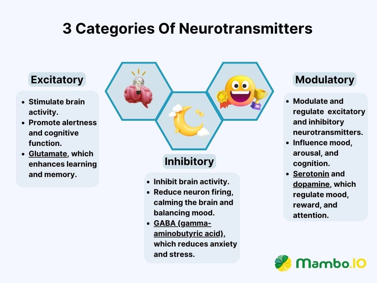 3 Categories Of Neurotransmitters