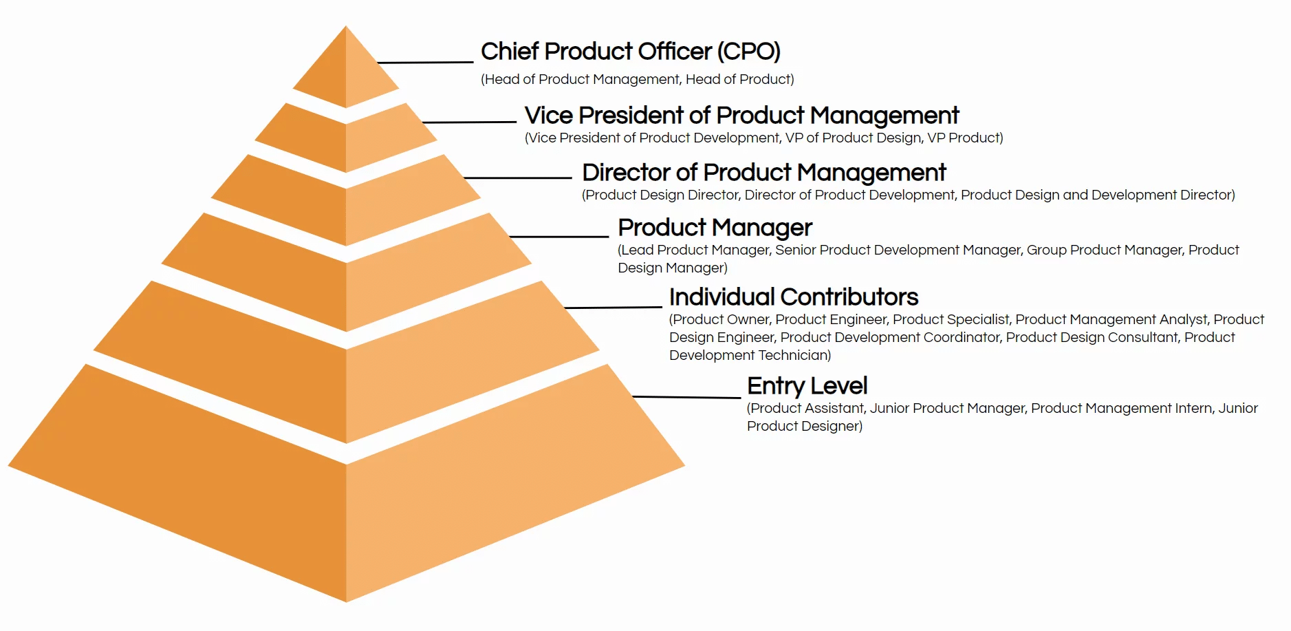 JPM Product management hierarchy: product manager career path