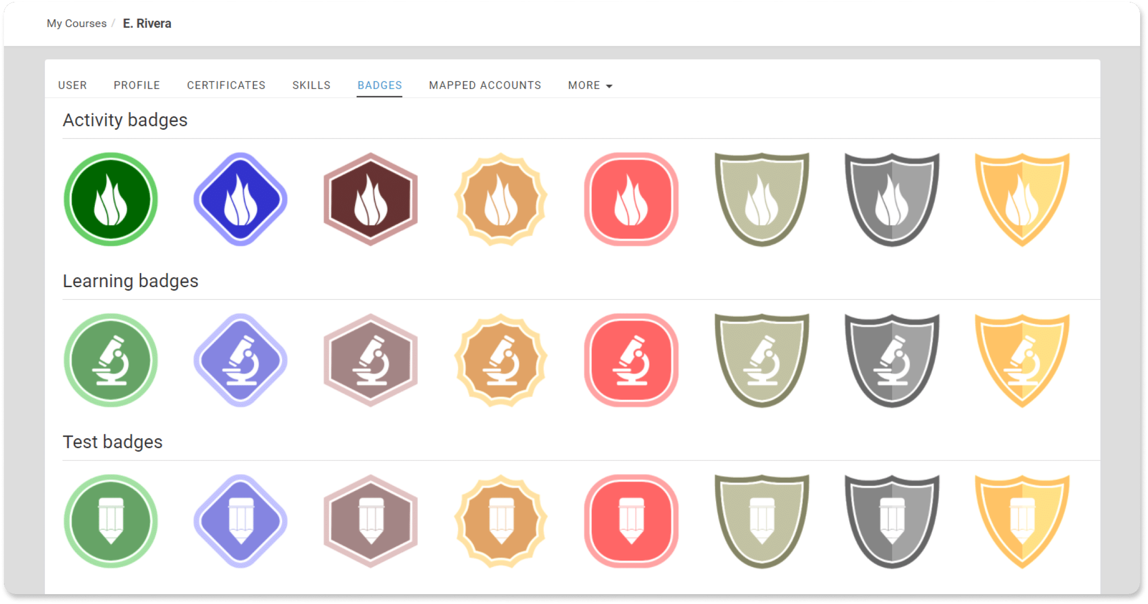 eFront Gamification Badges List